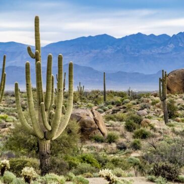 Víza pre Arizonu